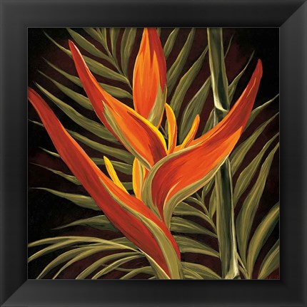 Framed Birds of Paradise I Print