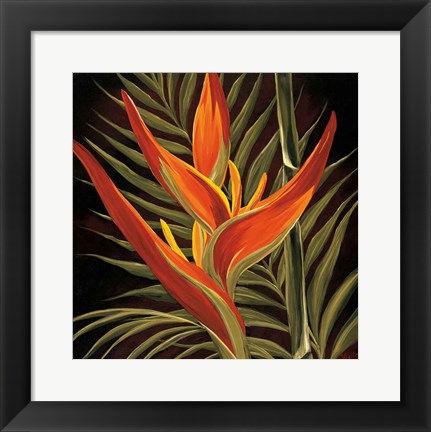 Framed Birds of Paradise I Print