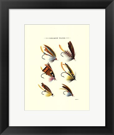 Framed Salmon Flies I Print