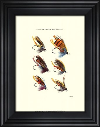 Framed Salmon Flies II Print