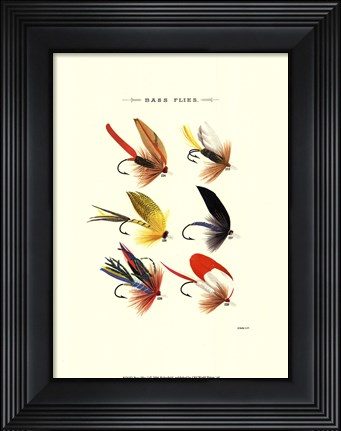 Framed Bass Flies I Print