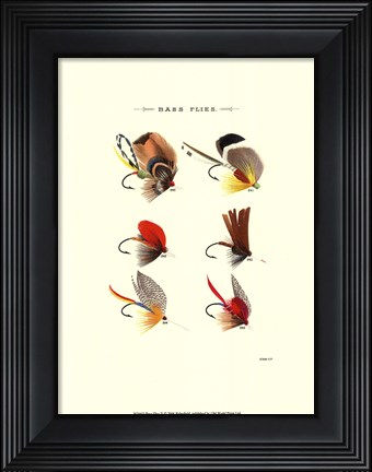 Framed Bass Flies II Print