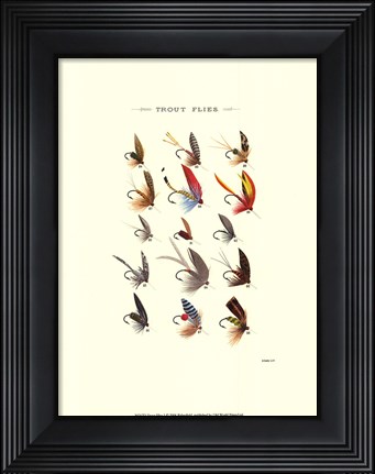 Framed Trout Flies I Print
