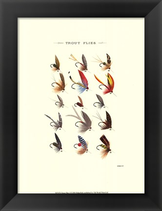 Framed Trout Flies I Print