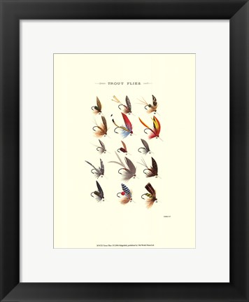 Framed Trout Flies I Print