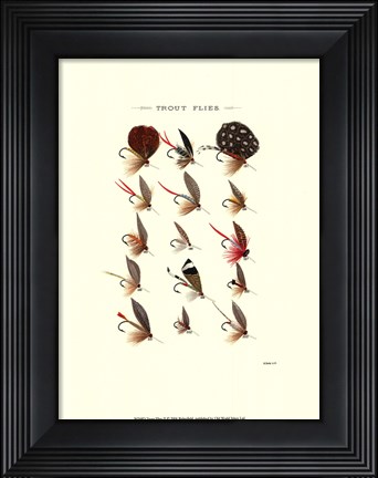 Framed Trout Flies II Print