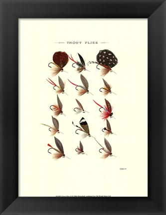 Framed Trout Flies II Print