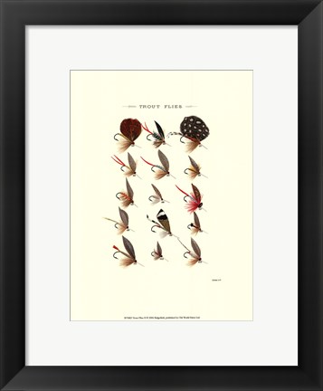 Framed Trout Flies II Print