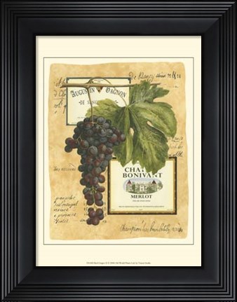 Framed Small Red Grapes II Print