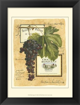 Framed Small Red Grapes II Print