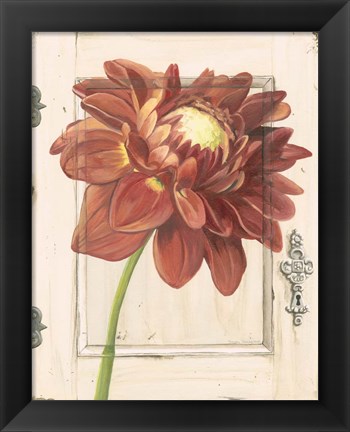 Framed Dahlia Door Print