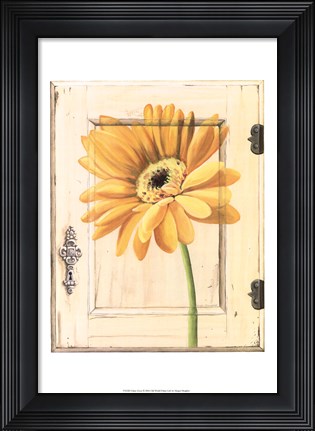 Framed Daisy Door Print
