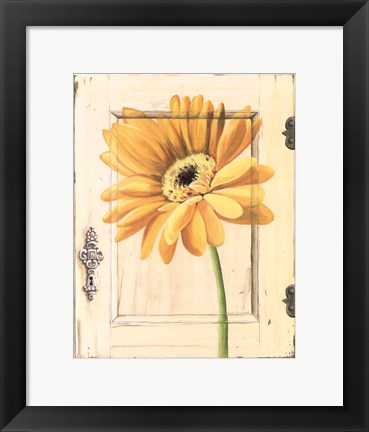 Framed Daisy Door Print