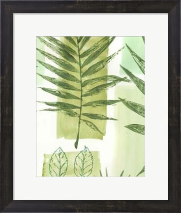 Framed Leaf Impressions III Print