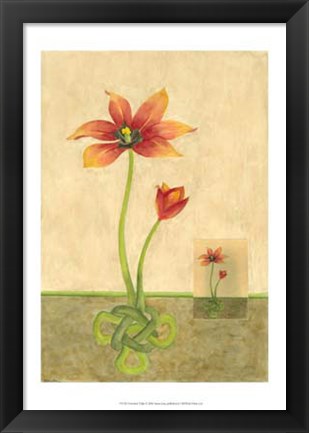 Framed Entwined Tulips Print