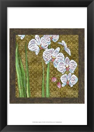 Framed Exotic Garden II Print