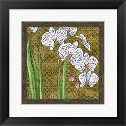 Framed Exotic Garden II Print