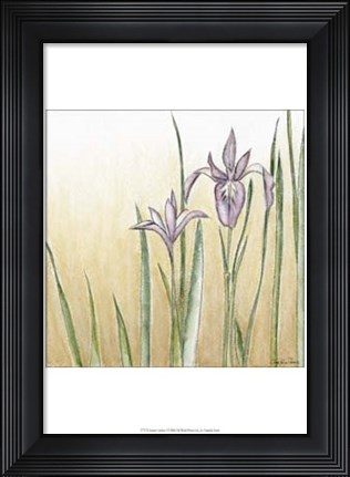 Framed Sunset Garden I Print