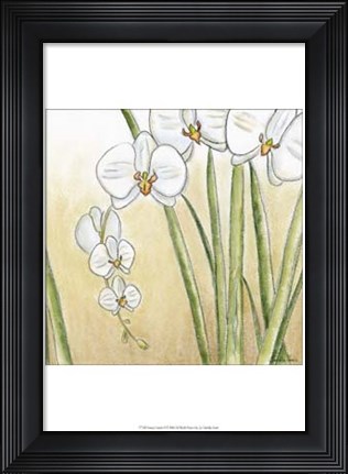 Framed Sunset Garden II Print