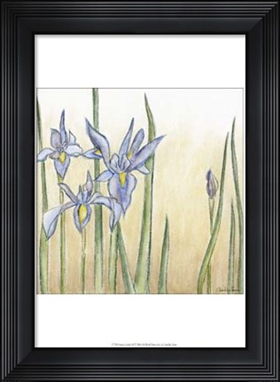 Framed Sunset Garden III Print