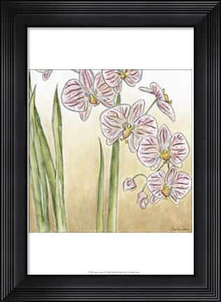 Framed Sunset Garden IV Print