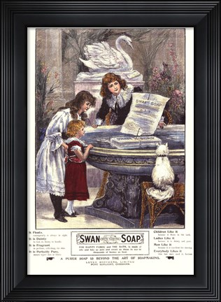 Framed Swan Soap Print
