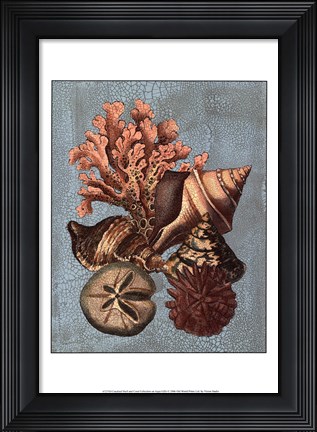 Framed Crackled Shell and Coral Collection on Aqua I Print