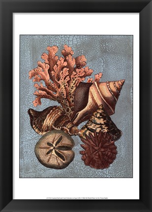 Framed Crackled Shell and Coral Collection on Aqua I Print