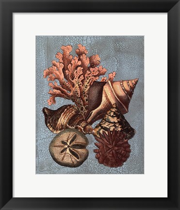 Framed Crackled Shell and Coral Collection on Aqua I Print