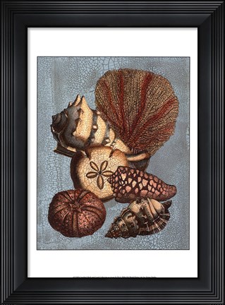 Framed Crackled Shell and Coral Collection on Aqua II Print