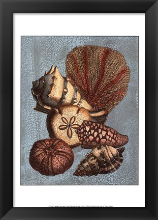 Framed Crackled Shell and Coral Collection on Aqua II Print