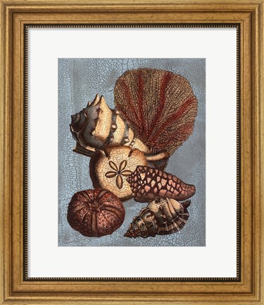 Framed Crackled Shell and Coral Collection on Aqua II Print