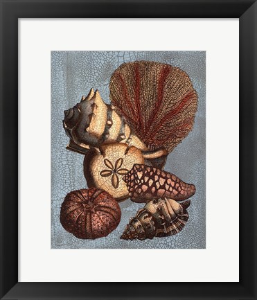 Framed Crackled Shell and Coral Collection on Aqua II Print