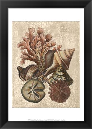 Framed Crackled Shell and Coral Collection on Cream I Print