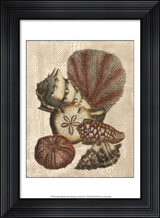 Framed Crackled Shell and Coral Collection on Cream II Print