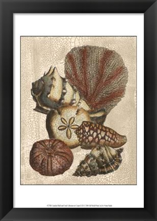 Framed Crackled Shell and Coral Collection on Cream II Print