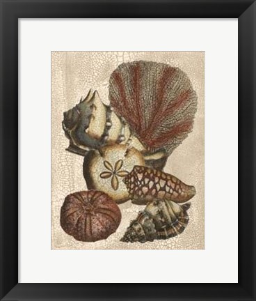 Framed Crackled Shell and Coral Collection on Cream II Print