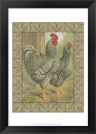 Framed Cassell&#39;s Roosters with Border II Print