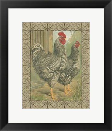 Framed Cassell&#39;s Roosters with Border II Print