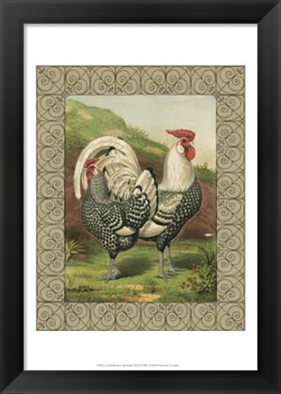 Framed Cassell&#39;s Roosters with Border III Print