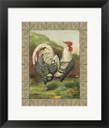 Framed Cassell&#39;s Roosters with Border III Print