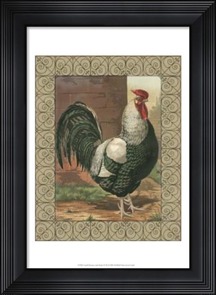 Framed Cassell&#39;s Roosters with Border IV Print