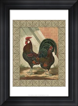 Framed Cassell&#39;s Roosters with Border V Print
