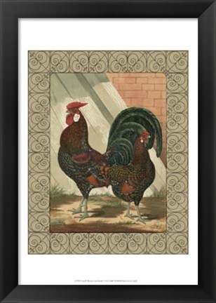 Framed Cassell&#39;s Roosters with Border V Print