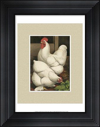 Framed Cassell&#39;s Roosters with Mat I Print