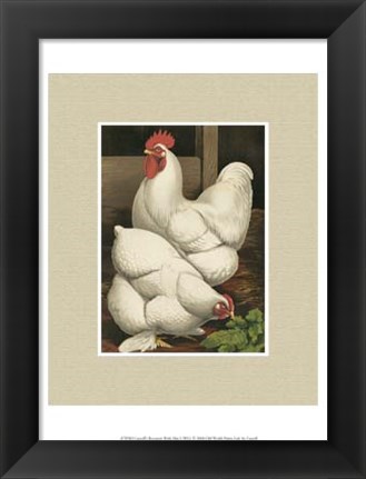 Framed Cassell&#39;s Roosters with Mat I Print