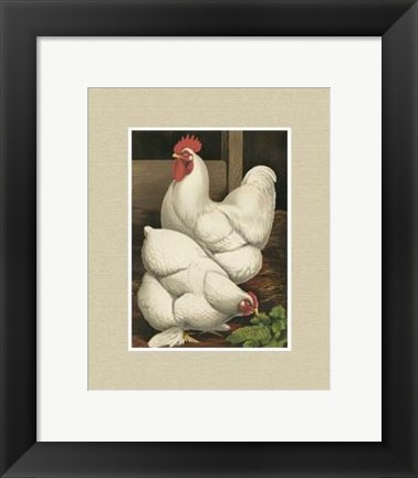 Framed Cassell&#39;s Roosters with Mat I Print