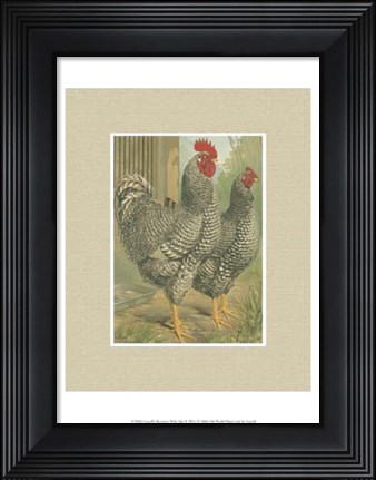 Framed Cassell&#39;s Roosters with Mat II Print