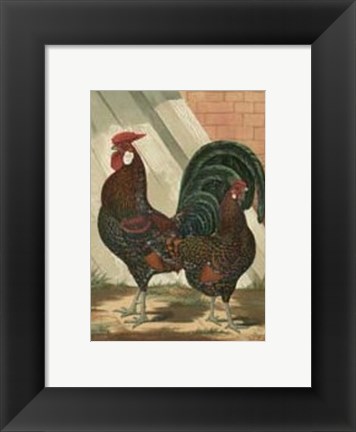 Framed Cassell&#39;s Roosters with Mat V Print