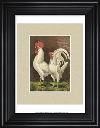 Framed Cassell&#39;s Roosters with Mat VI Print